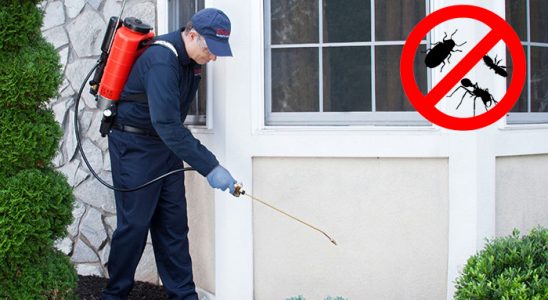 Zeytinalanı Kemirgen İlaçlama böcek ilaçlama ve haşere kontrolü — ilaclama-tr.com